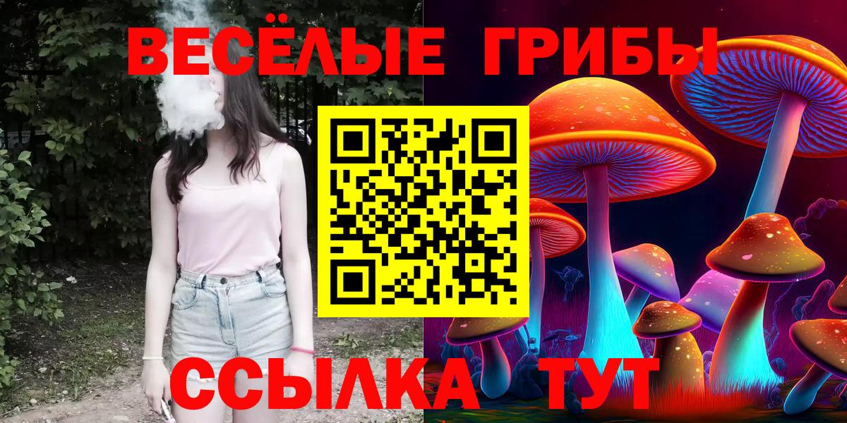 Галлюциногенные грибы Psilocybine cubensis  Псилоцибиновые грибы GOLDEN TEACHER  Киселёвск  Вход с VPN 